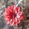 Debbie Conley - @702debbie1025 - Poshmark